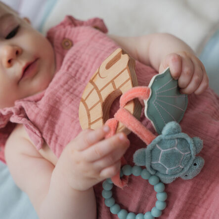 Oti\-Bot STEM Conservation Kit  hi\-res